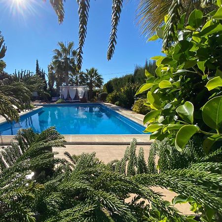 Vacaciones La Marina Costa Blanca Villa Eksteriør bilde