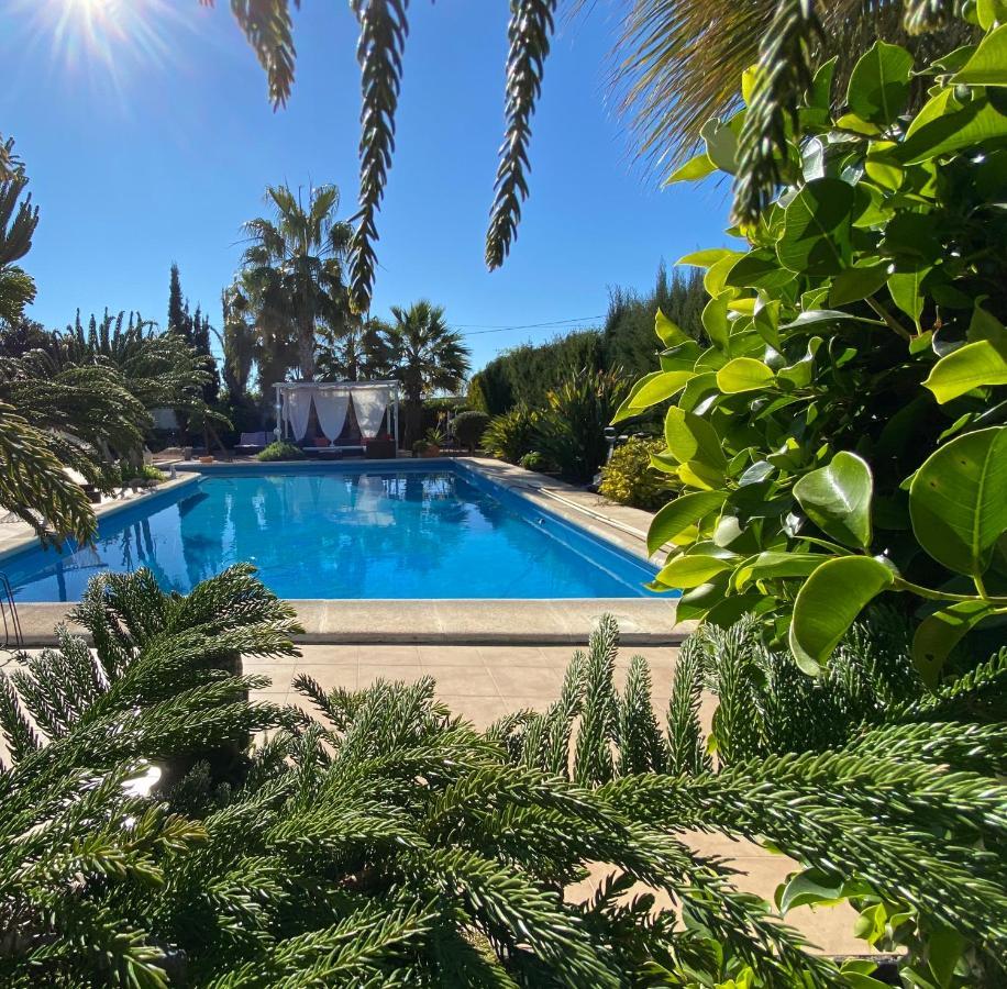 Vacaciones La Marina Costa Blanca Villa Eksteriør bilde